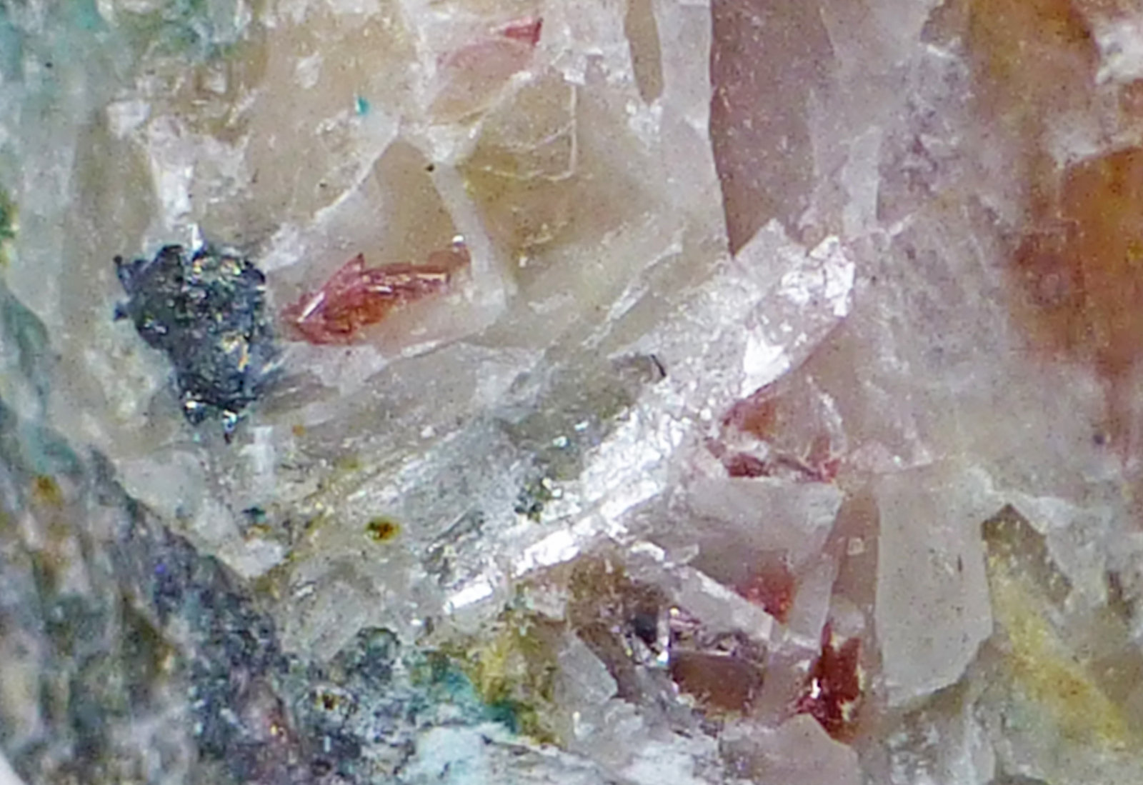 Eritrina
Encuadre 1cm aprox.
(Autor: heat00)