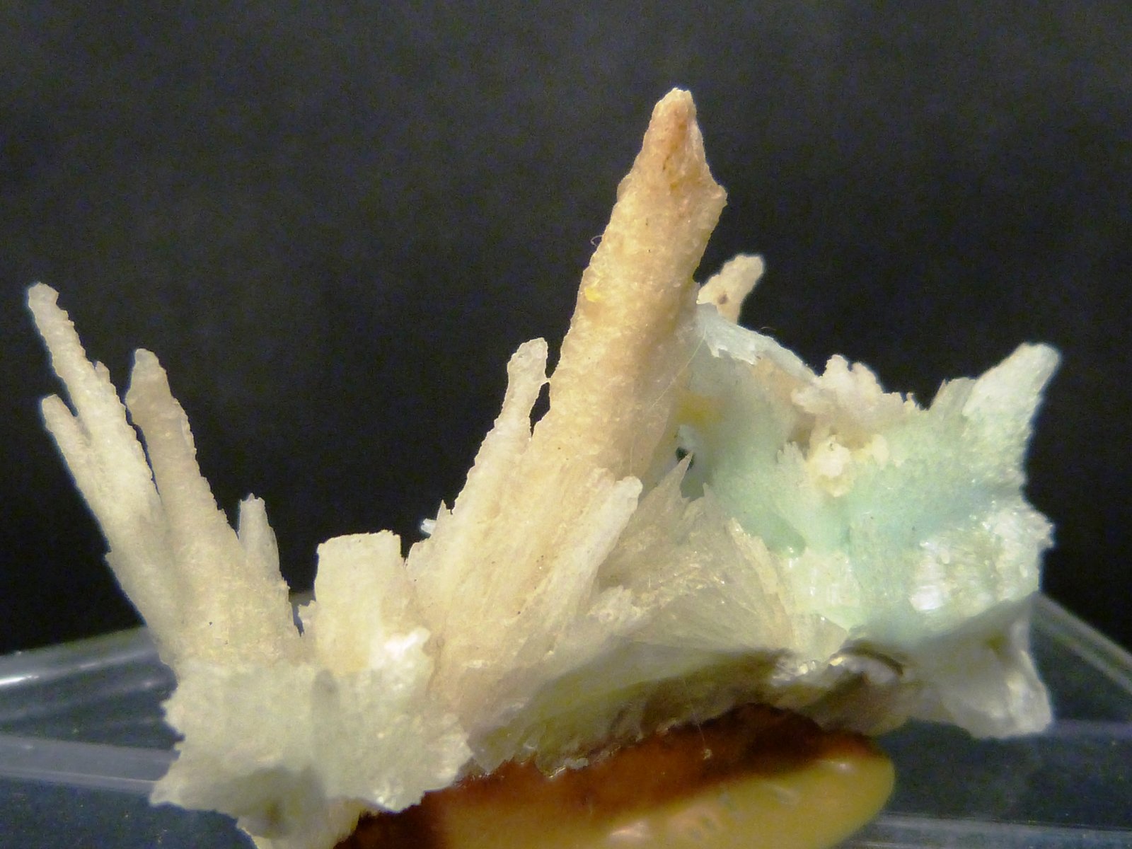 Aragonito
5 x 3 x 2 cm.
(Autor: Felipe Abolafia)