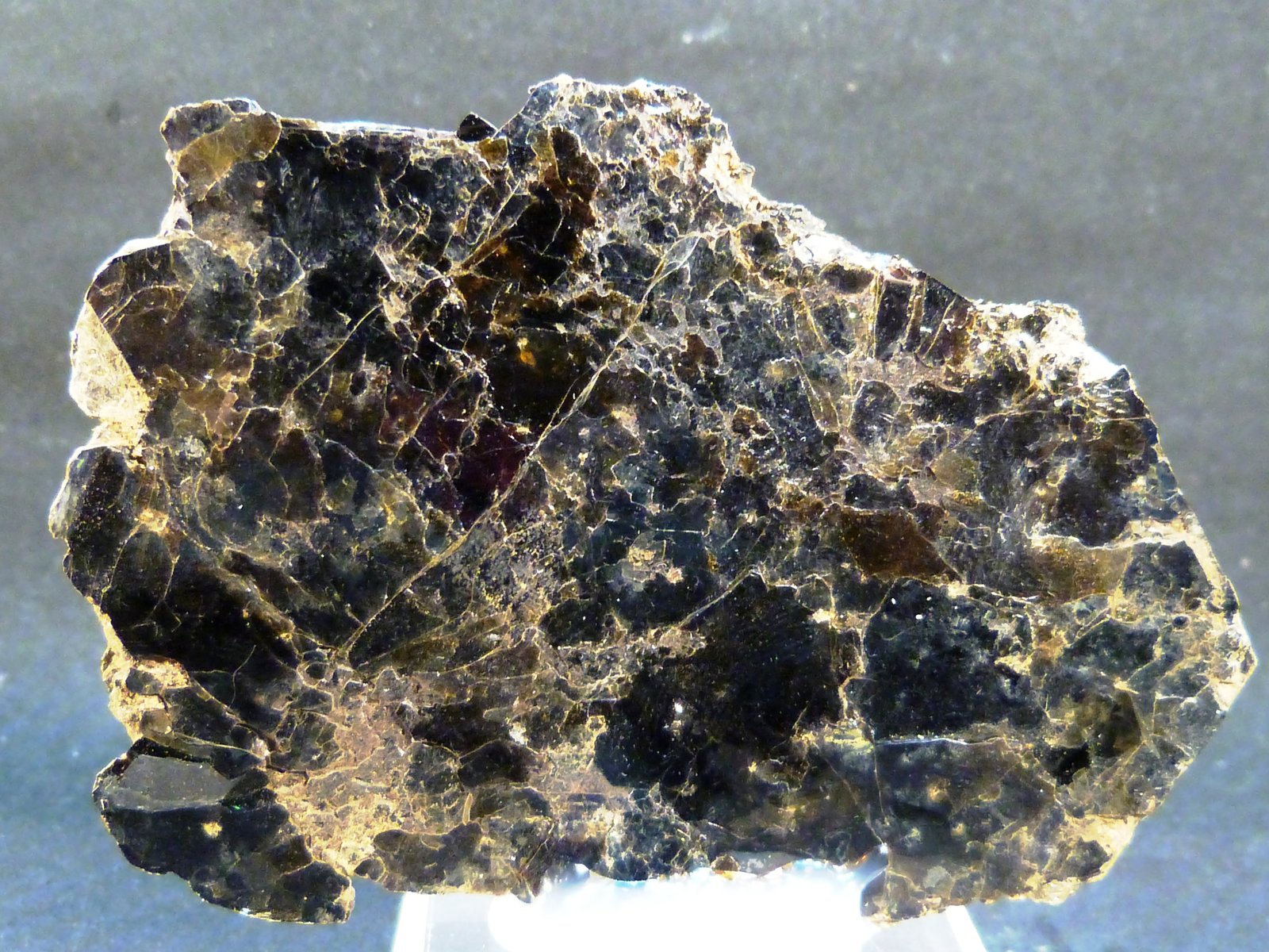 Flogopita (Grupo Mica)
8 x 6 x 0,6 cm.
(Autor: Felipe Abolafia)