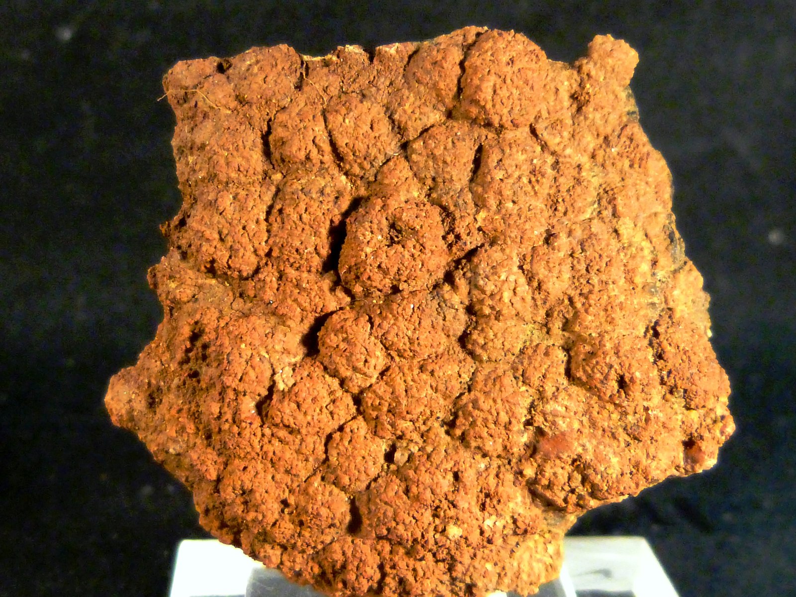 Limonita pseudo. Goethita
5 x 5 x 0,6 cm.
(Autor: Felipe Abolafia)