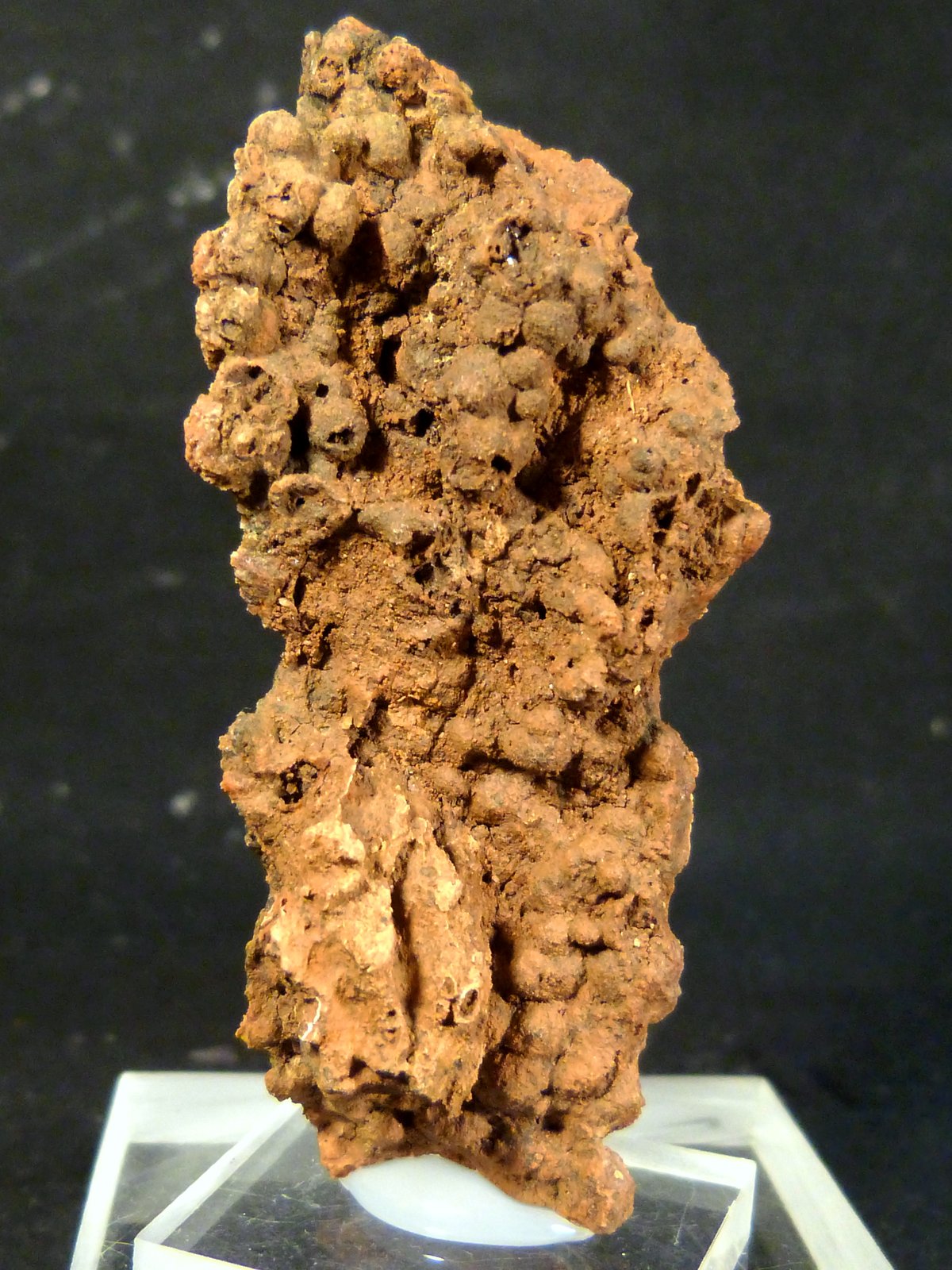 Limonita pseudo. Goethita
3 x 6 x 1 cm.
(Autor: Felipe Abolafia)