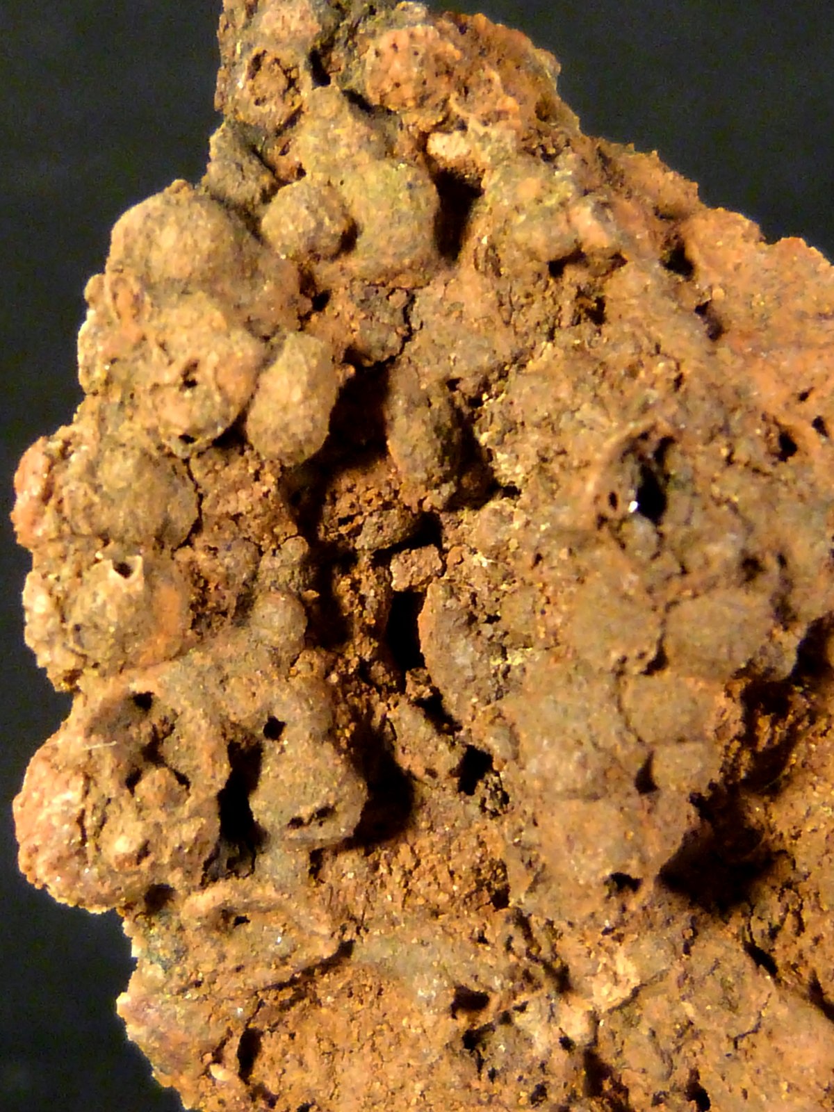 Limonita pseudo. Goethita
3 x 6 x 1 cm.
(Autor: Felipe Abolafia)