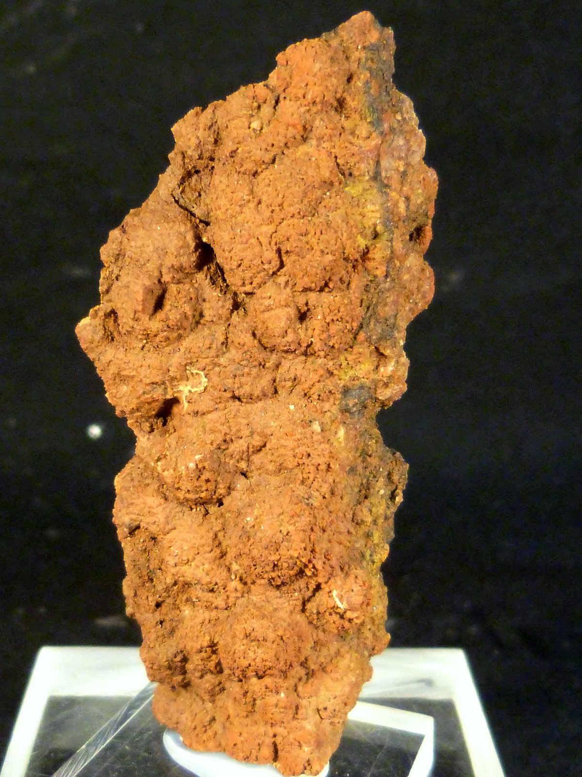 Limonita pseudo. Goethita
3 x 6 x 1 cm.
(Autor: Felipe Abolafia)