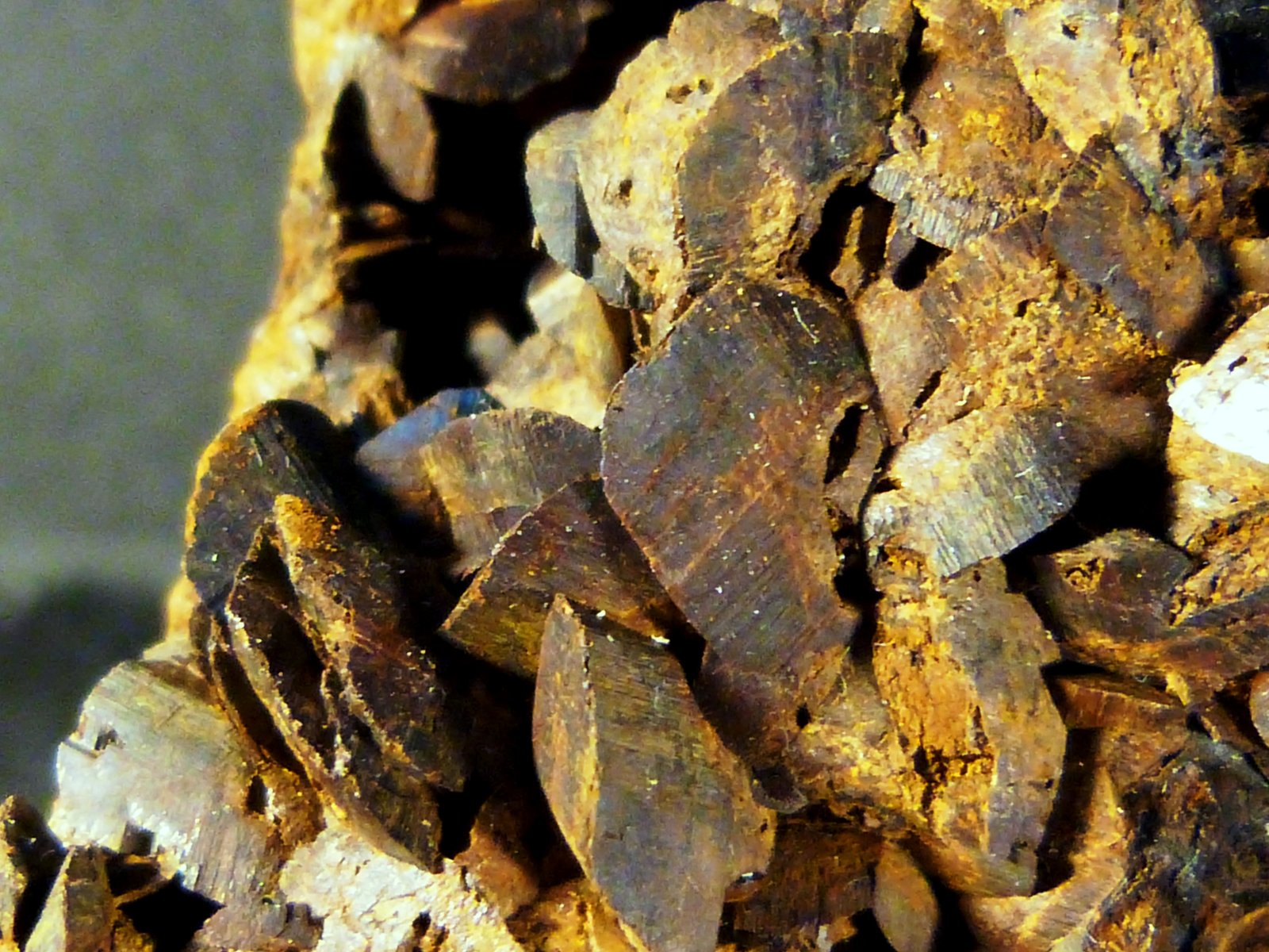 Siderita
9 x 5 x 6 cm.
(Autor: Felipe Abolafia)