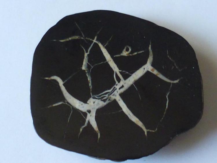septaria
8 x 7 cm.
(Autor: javier ruiz martin)