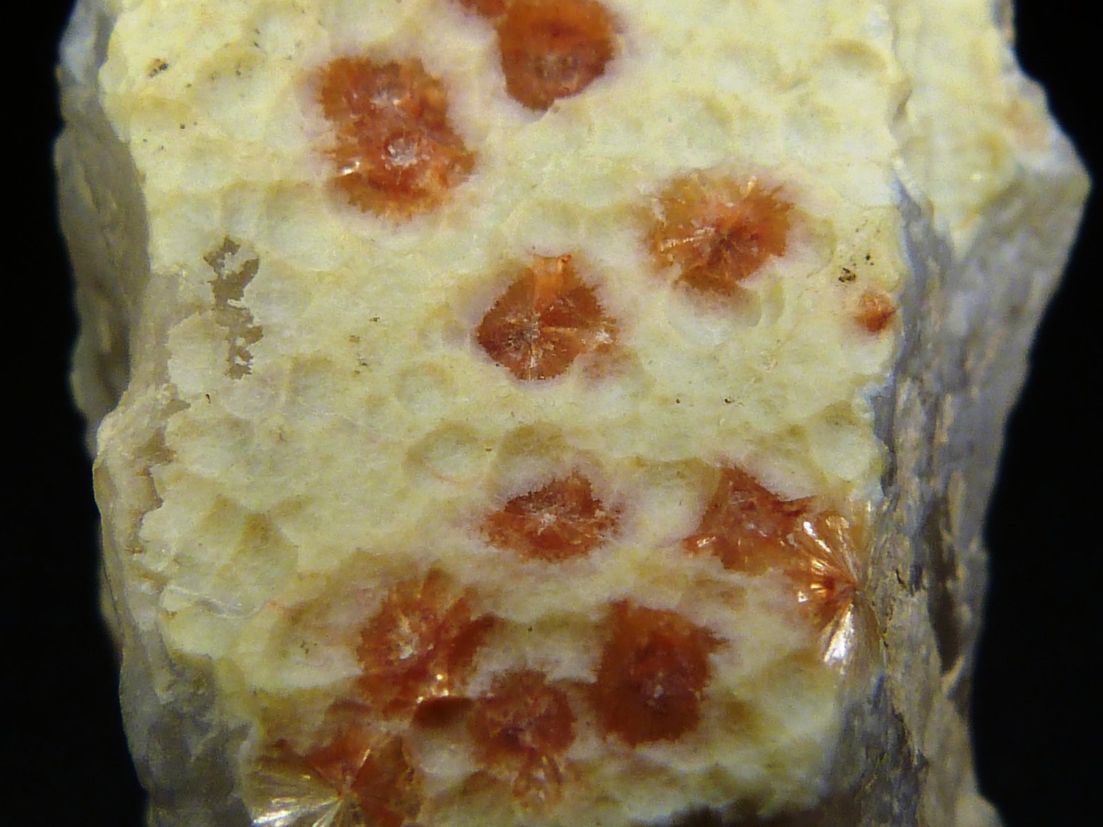 Ferrierita en Cuarzo (variedad calcedonia)
2 x 3,5 x 3 cm.
(Autor: Felipe Abolafia)