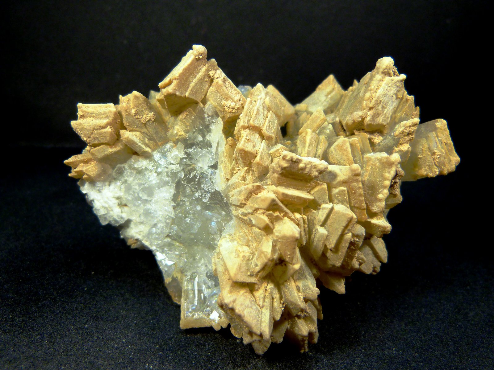Celestina
9 x 6 x 3,5 cm.
(Autor: Felipe Abolafia)
