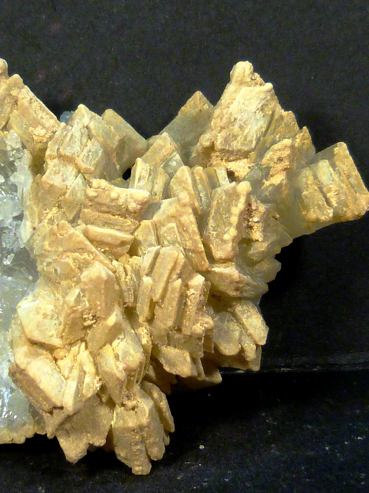 Celestina
9 x 6 x 3,5 cm.
(Autor: Felipe Abolafia)