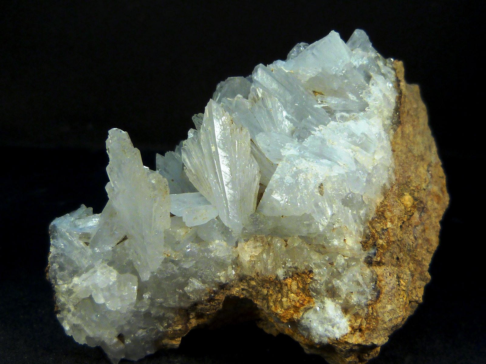 Celestina
8 x 6 x 3,5 cm.
(Autor: Felipe Abolafia)