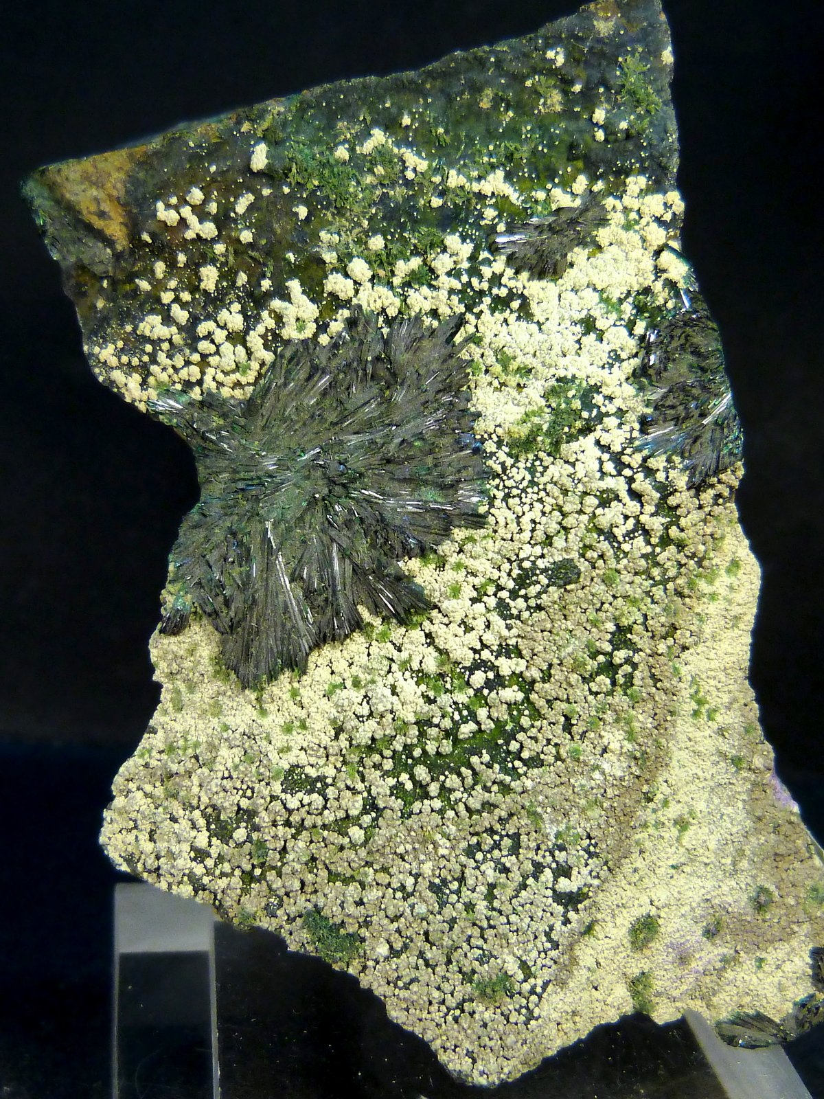 Atacamita
4,5 x 3 x 7 cm.
(Autor: Felipe Abolafia)