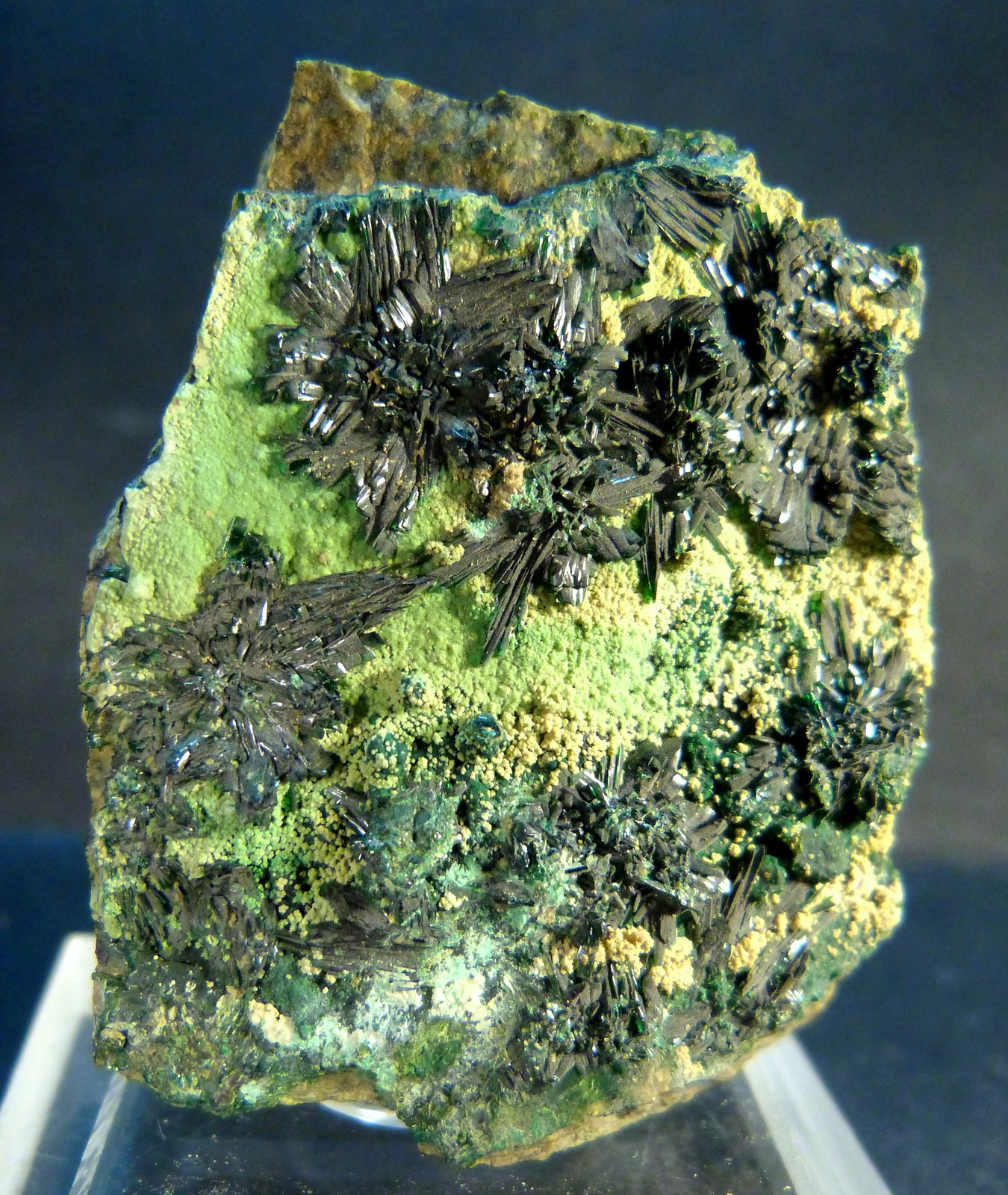 Atacamita
4 x 2,5 x 4,5 cm.
(Autor: Felipe Abolafia)
