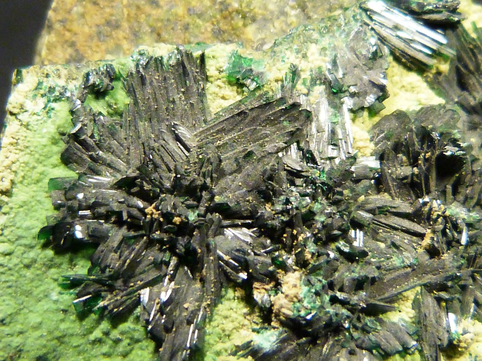 Atacamita
4 x 2,5 x 4,5 cm.
(Autor: Felipe Abolafia)
