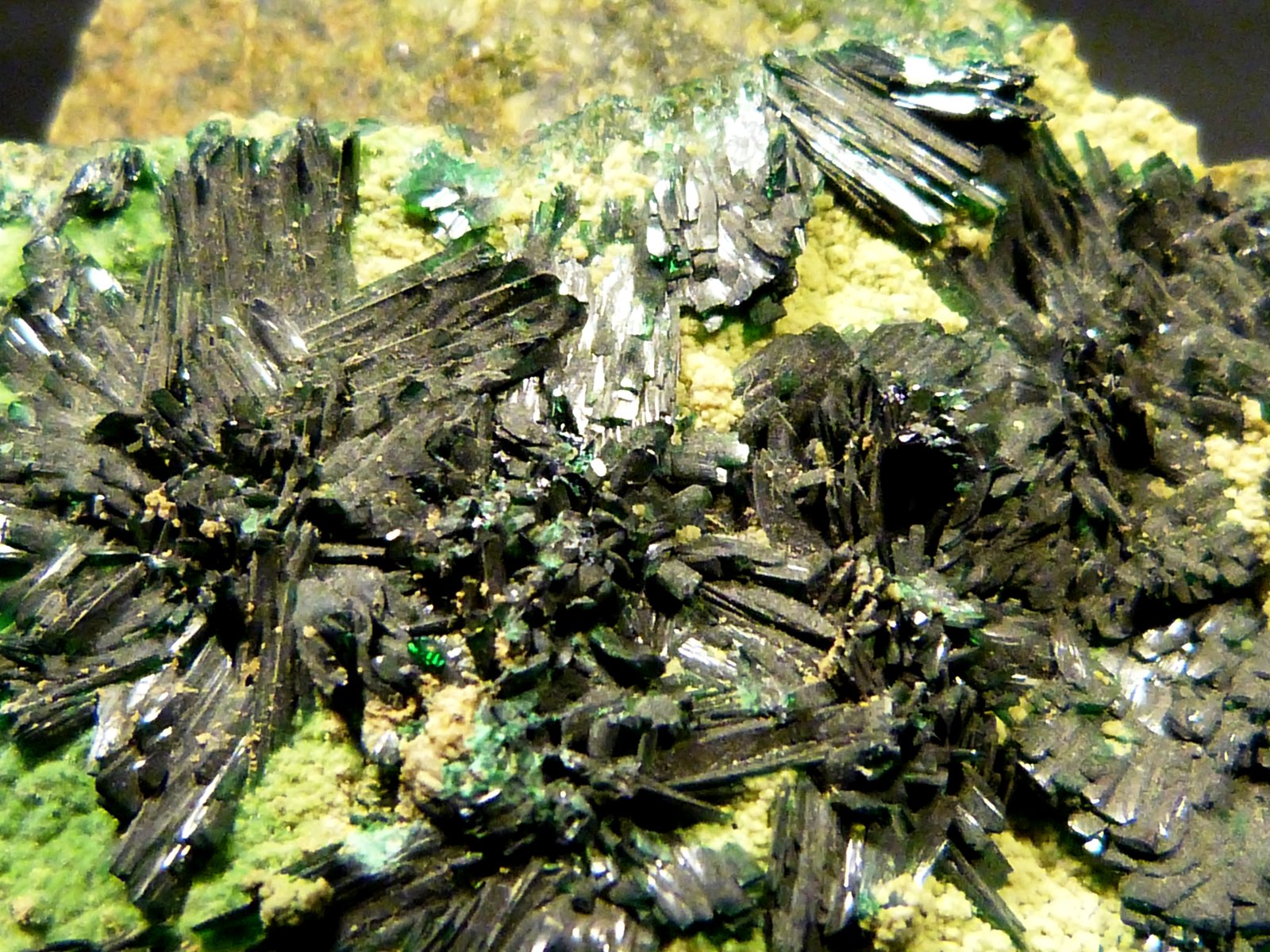 Atacamita
4 x 2,5 x 4,5 cm.
(Autor: Felipe Abolafia)