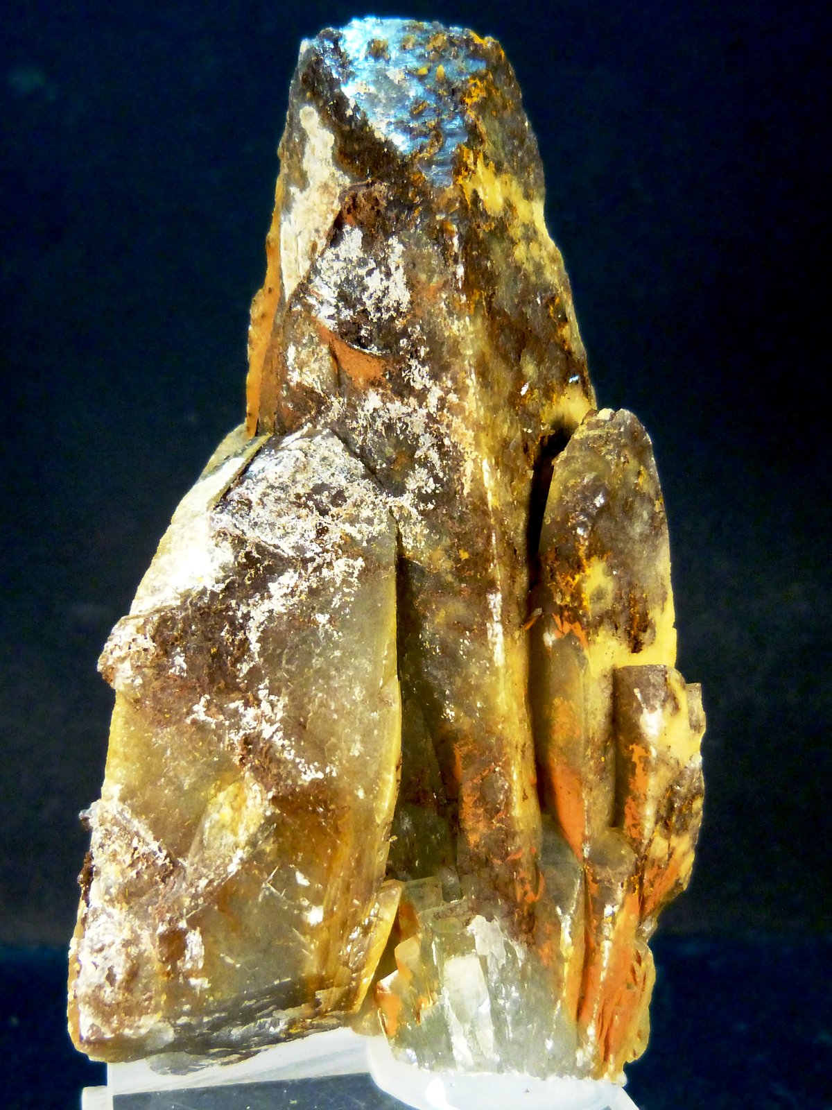 Celestina
4,5 x 2,5 x 8 cm.
(Autor: Felipe Abolafia)