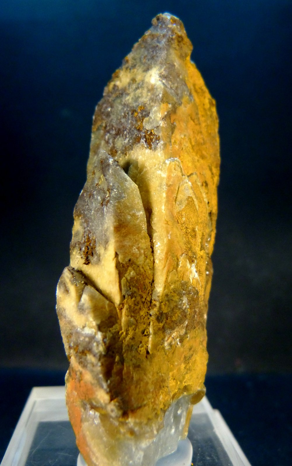 Celestina
4,5 x 2,5 x 8 cm.
(Autor: Felipe Abolafia)