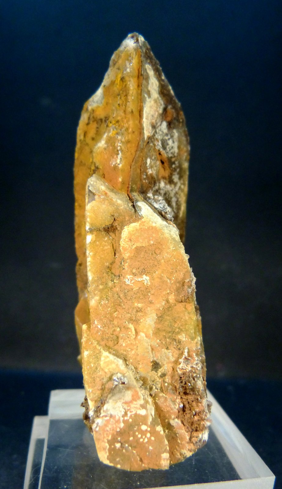 Celestina
4,5 x 2,5 x 8 cm.
(Autor: Felipe Abolafia)