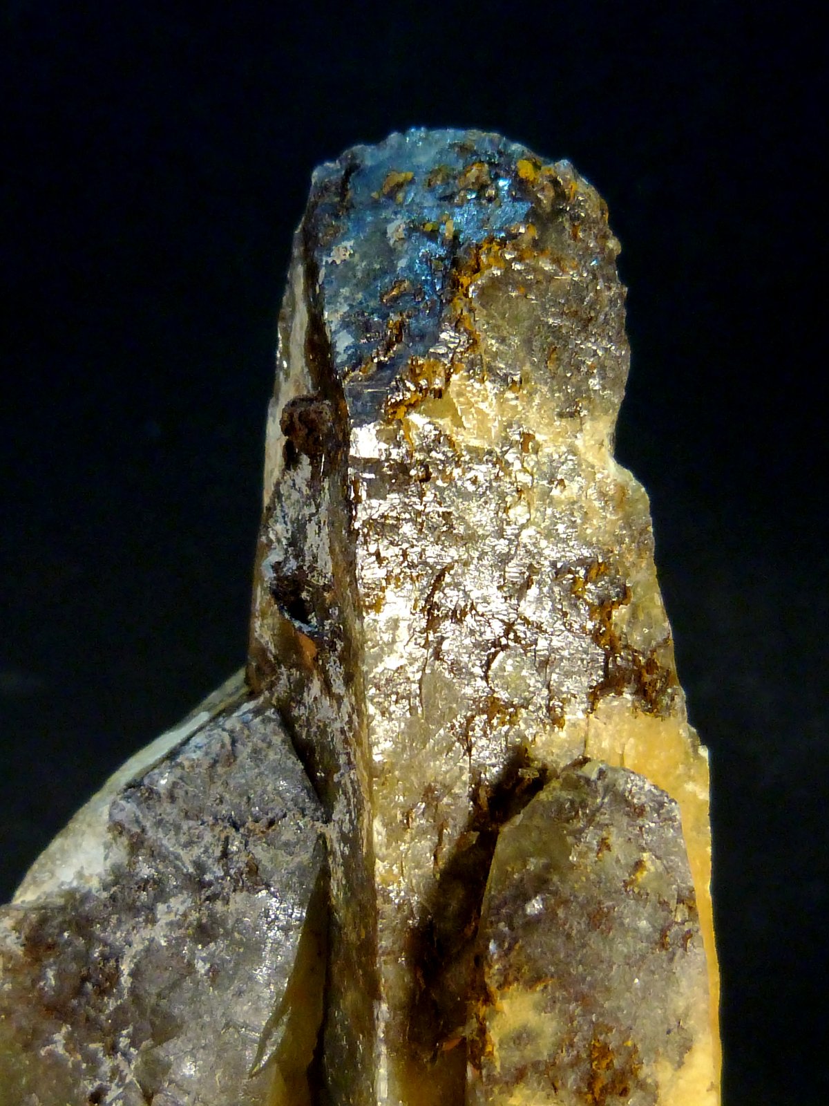 Celestina
4,5 x 2,5 x 8 cm.
(Autor: Felipe Abolafia)
