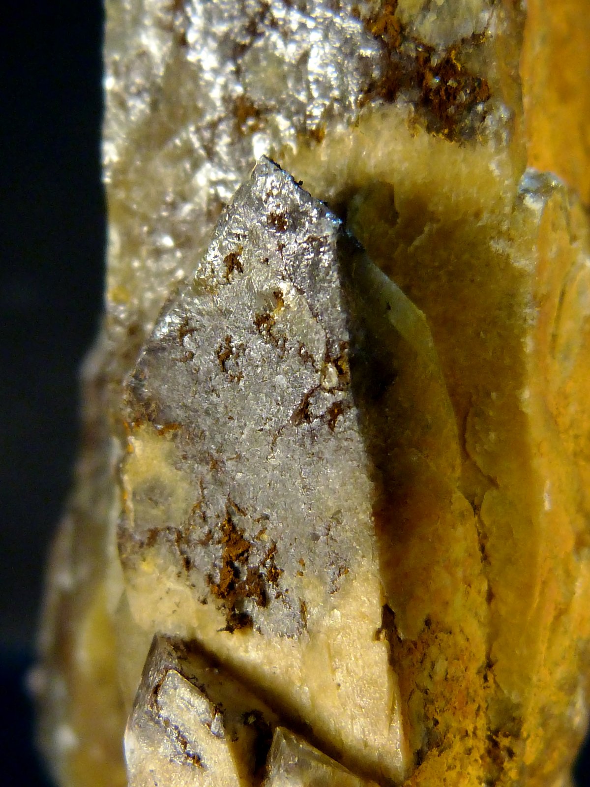 Celestina
4,5 x 2,5 x 8 cm.
(Autor: Felipe Abolafia)