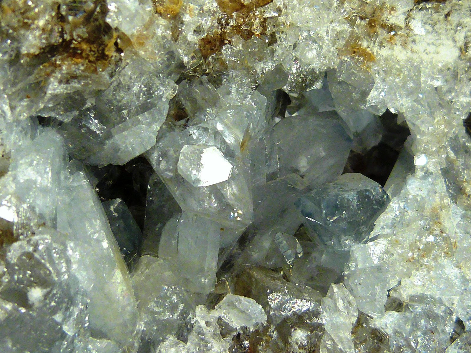 Celestina
11 x 7 x 7 cm.
(Autor: Felipe Abolafia)