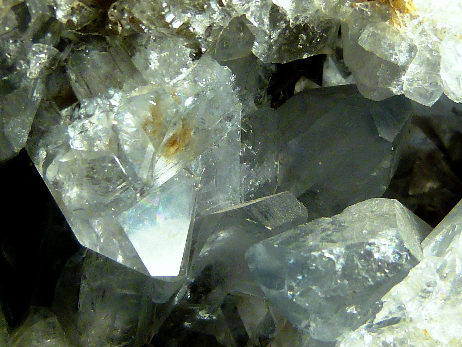 Celestina
11 x 7 x 7 cm.
(Autor: Felipe Abolafia)