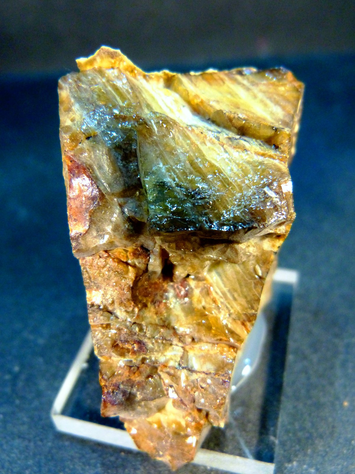Alofana
2 x 4 x 4 cm.
(Autor: Felipe Abolafia)