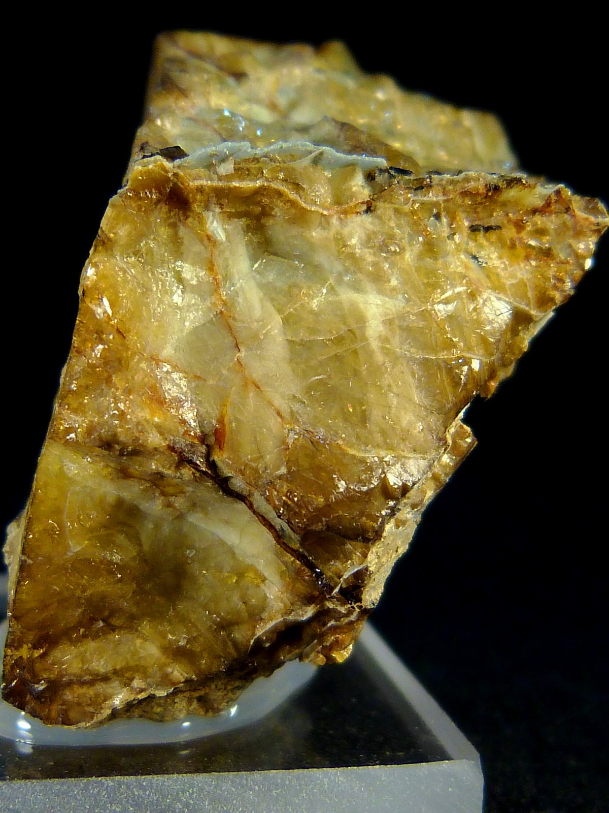 Alofana
2 x 3,5 x 4 cm.
(Autor: Felipe Abolafia)