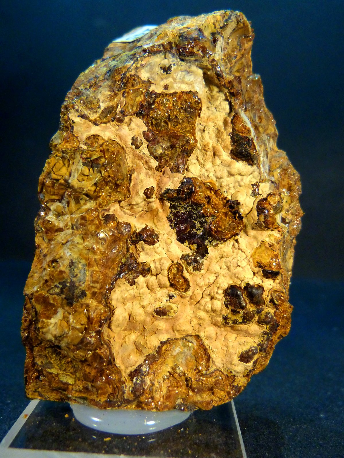 Alofana
4,5 x 7,5 x 3 cm.
(Autor: Felipe Abolafia)