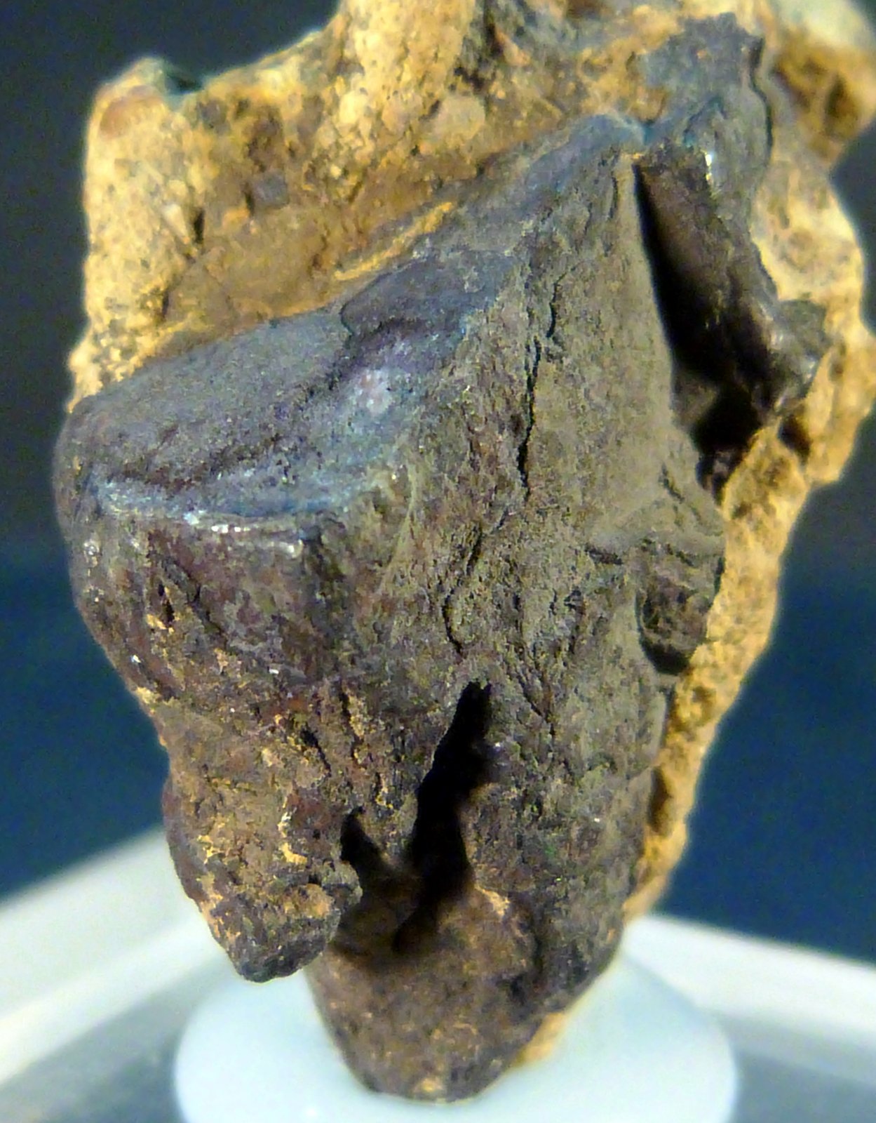 Galena
2,5 x 3 x 1,5 cm.
(Autor: Felipe Abolafia)