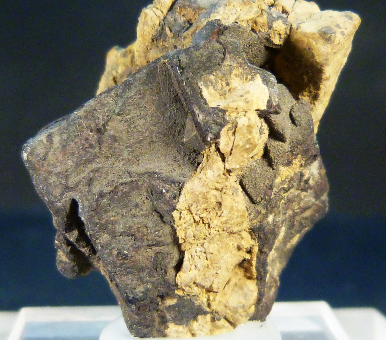 Galena
2,5 x 3 x 1,5 cm.
(Autor: Felipe Abolafia)