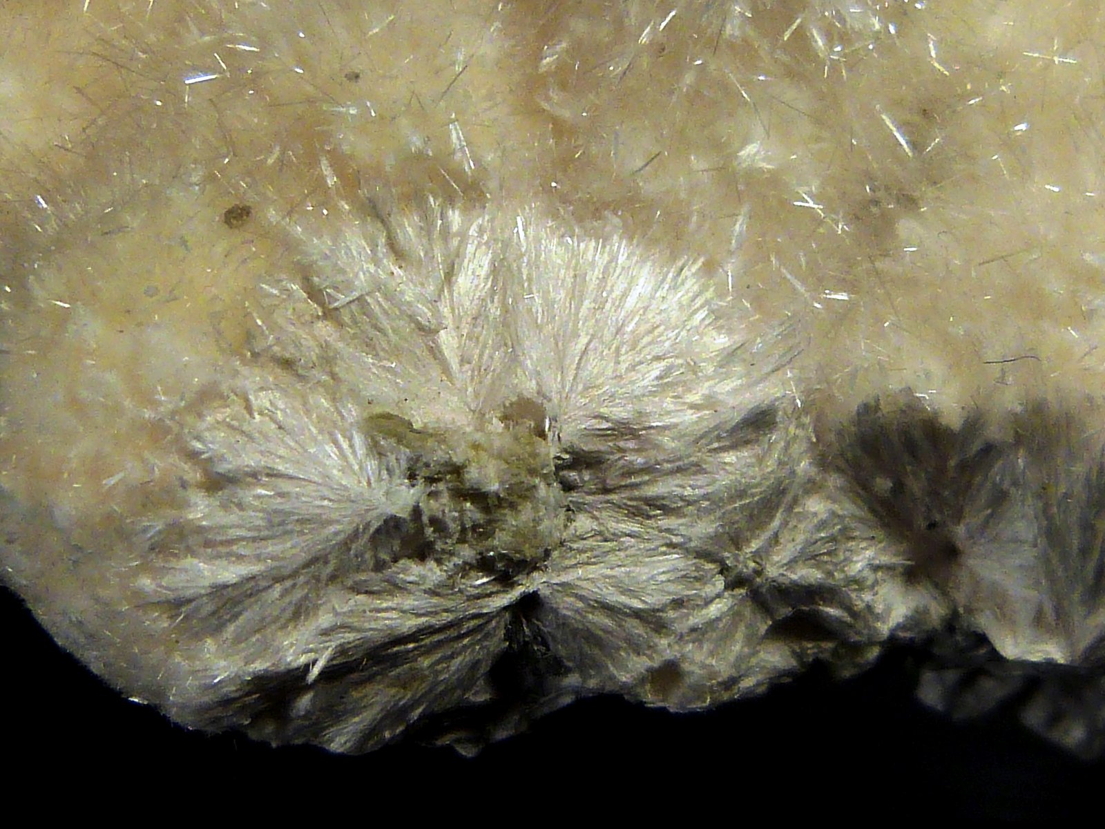 Okenita
10 x 4,5 x 7 cm.
(Autor: Felipe Abolafia)