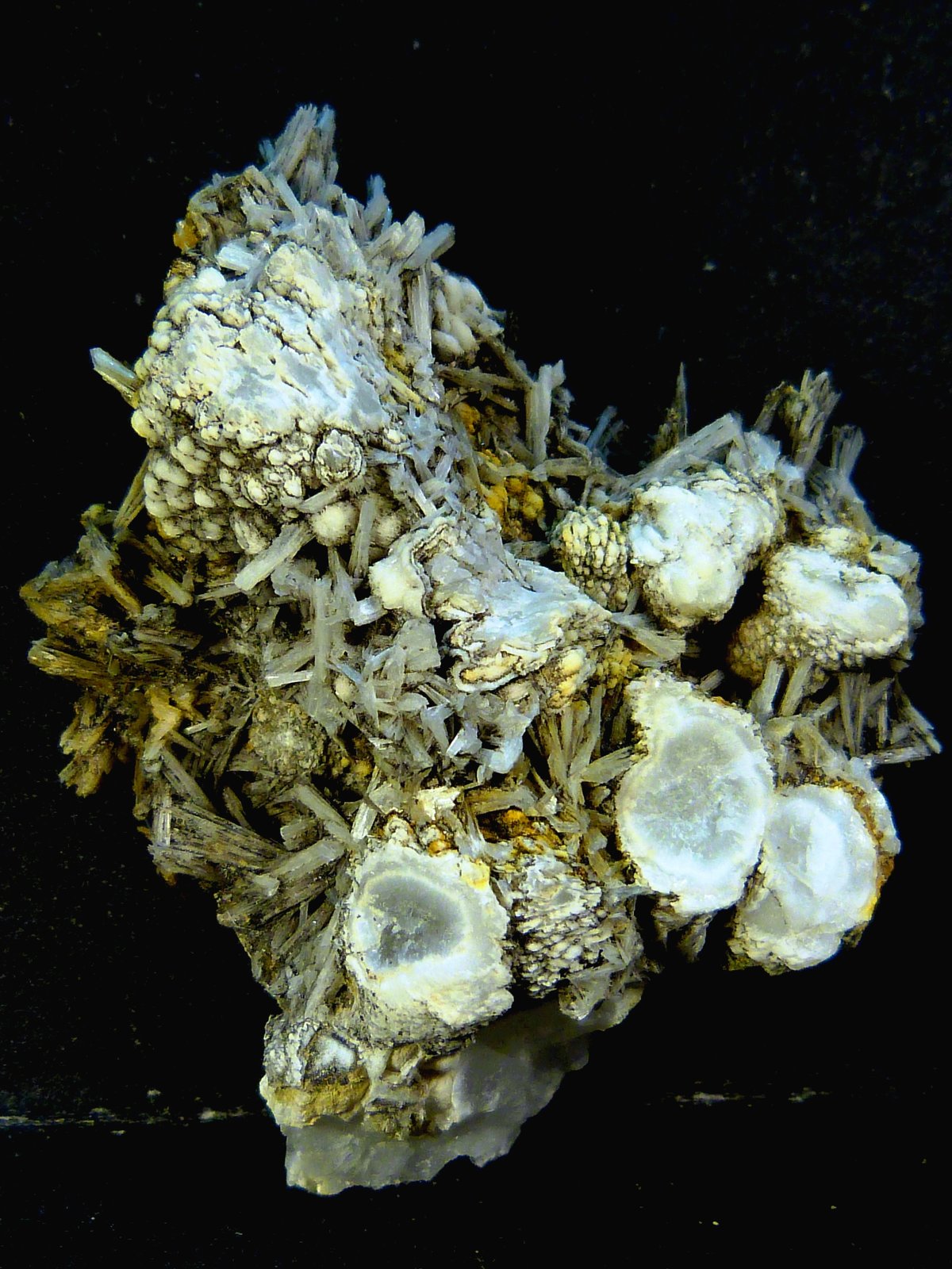 Celestina
4,5 x 5,5 x 2,5 cm.
(Autor: Felipe Abolafia)