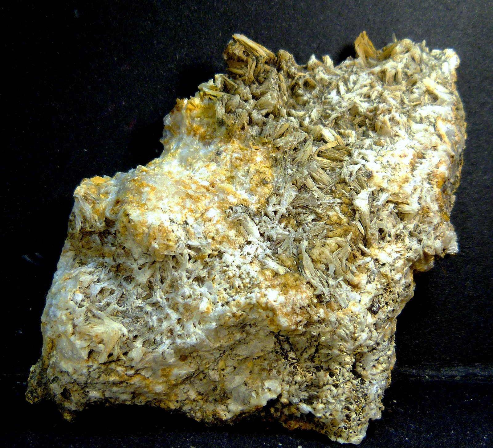 Celestina
7 x 10 x 3 cm.
(Autor: Felipe Abolafia)