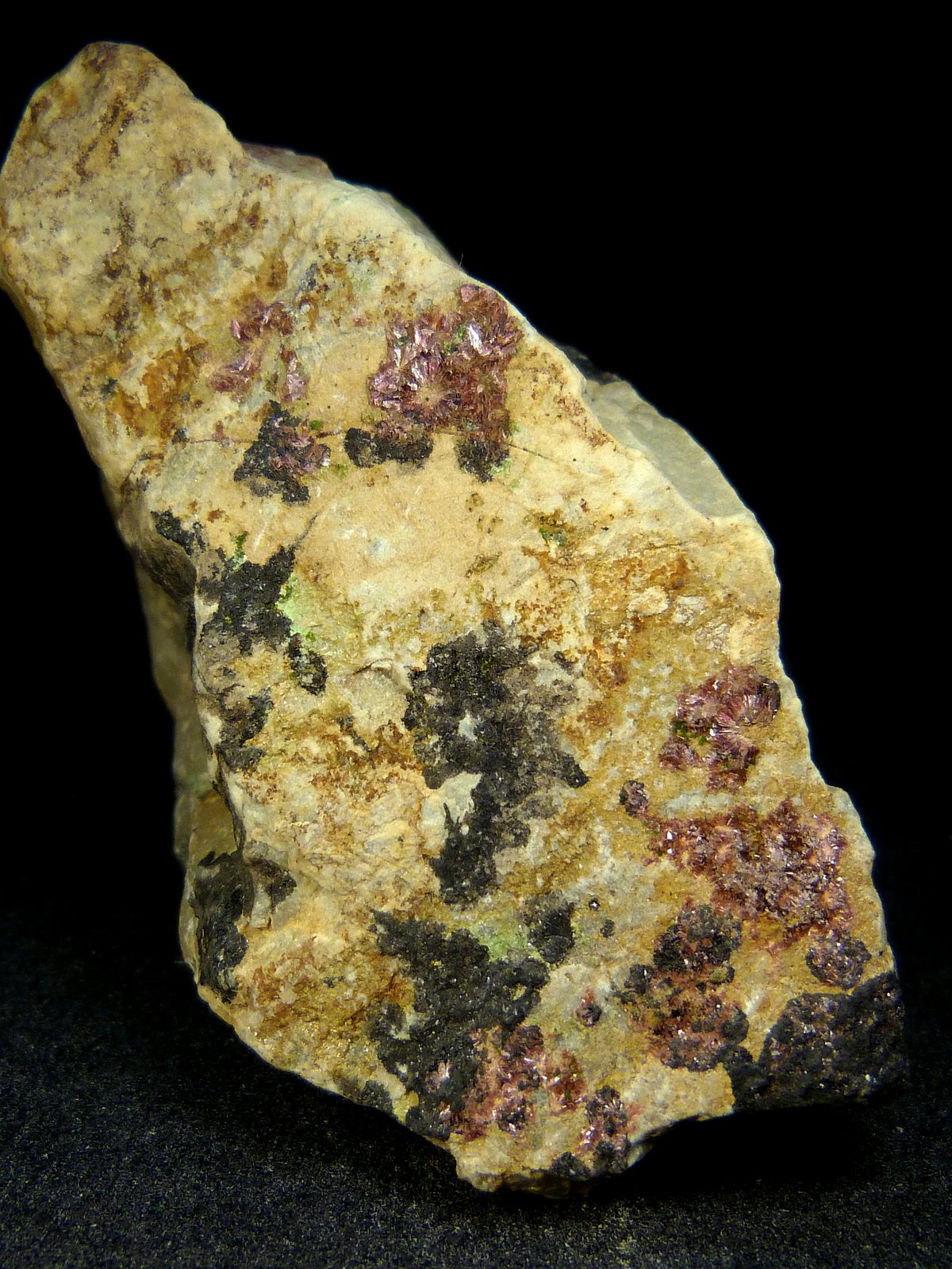 Eritrina y heterogenita
4 x 7 x 4 cm.
(Autor: Felipe Abolafia)