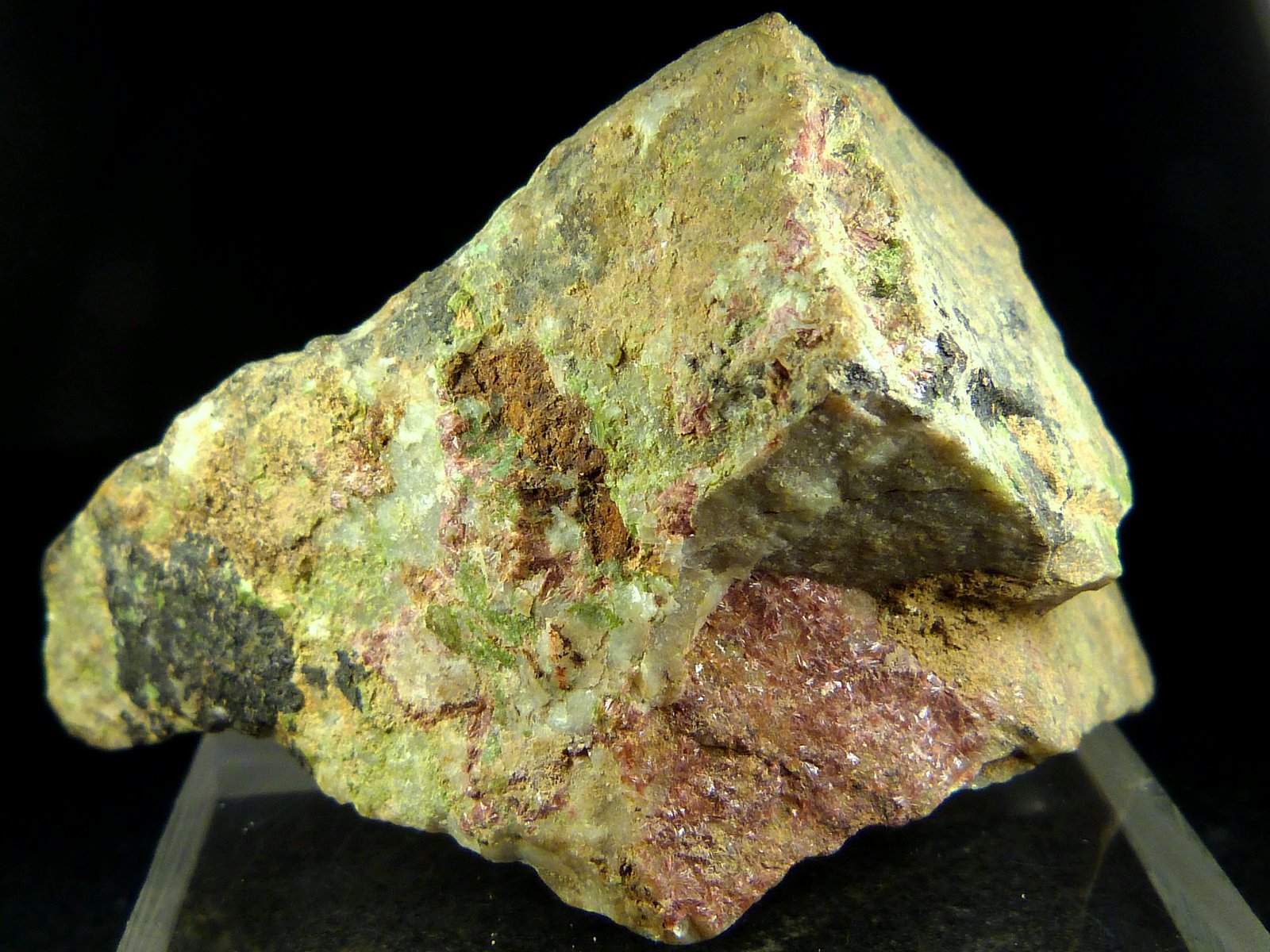 Eritrina y heterogenita
5 x 5 x 4 cm.
(Autor: Felipe Abolafia)