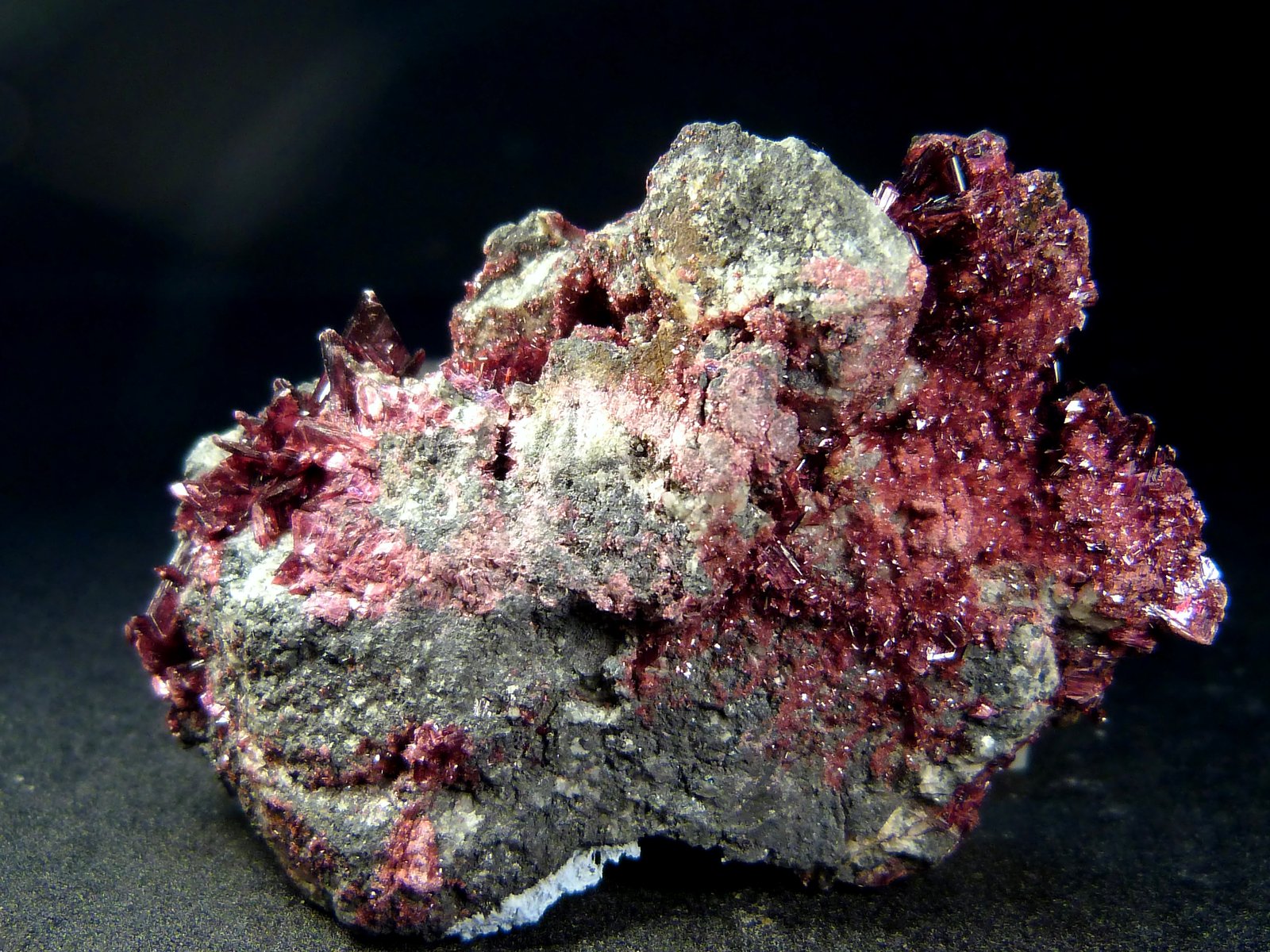 Eritrina
5 x 3,5 x 3 cm.
(Autor: Felipe Abolafia)