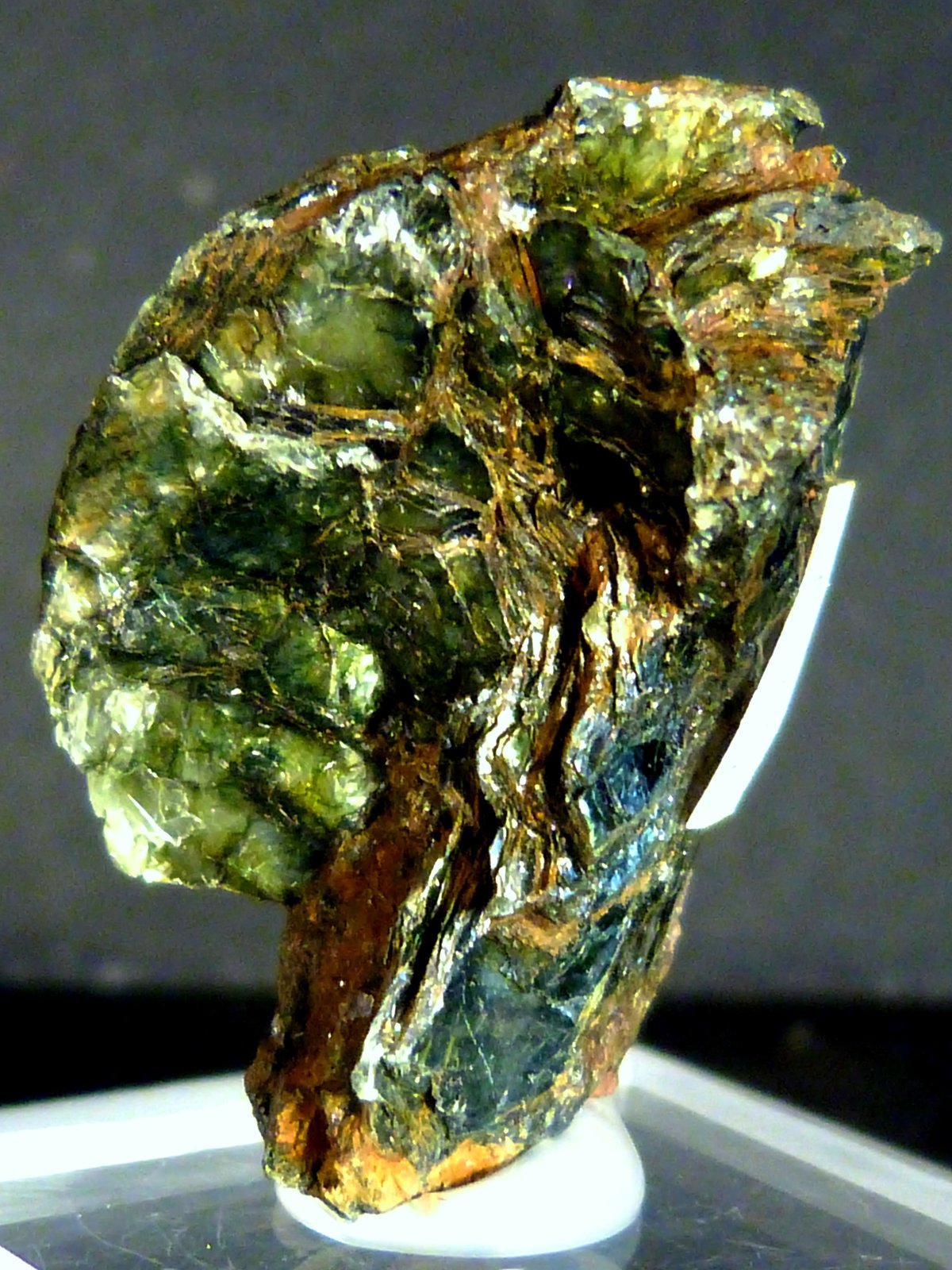 Clinocloro (variedad pennina)
2,5 x 3,5 x 1,5 cm.
(Autor: Felipe Abolafia)