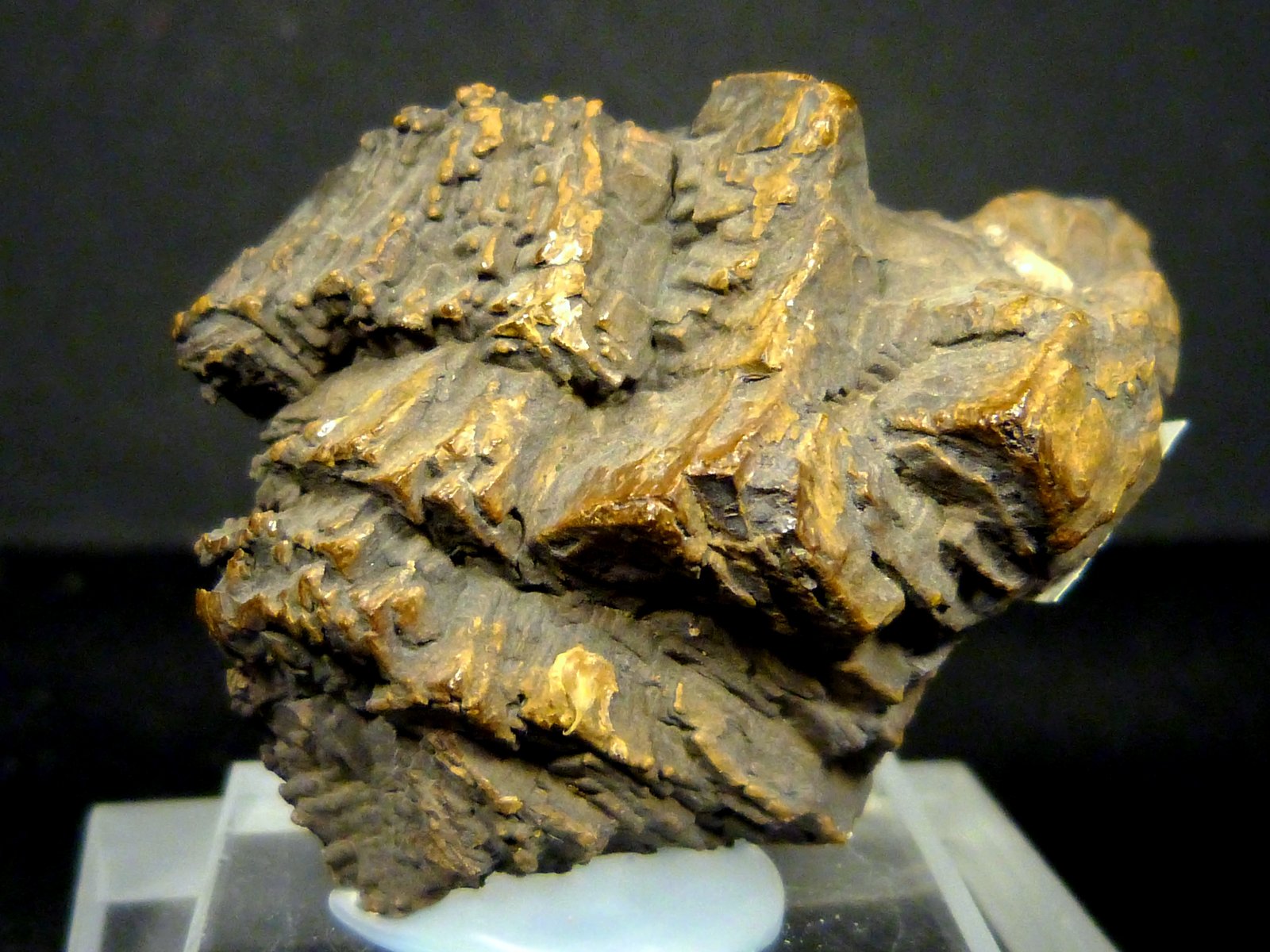 Limonita pseudo. pirita
4,5 x 4 x 2,5 cm.
(Autor: Felipe Abolafia)