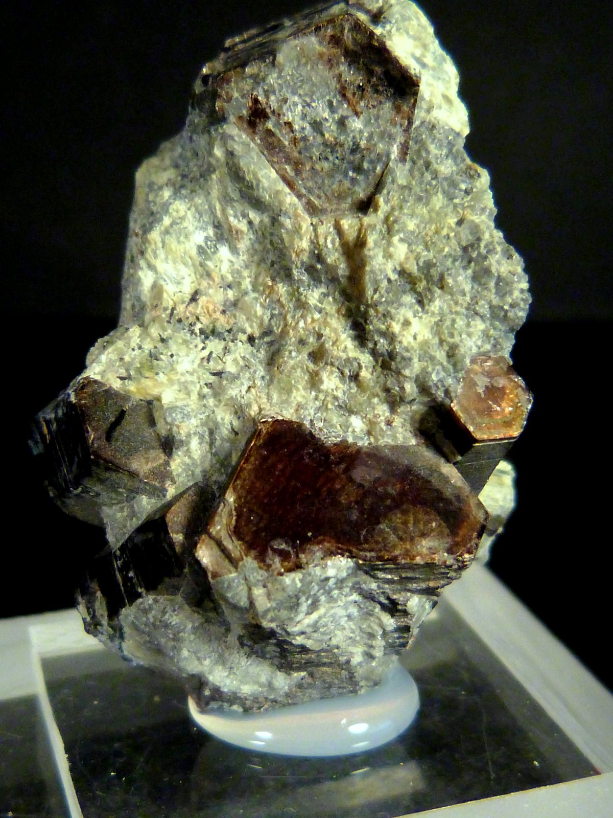 Flogopita (Grupo Mica)
4 x 2,5 x 2 cm.
(Autor: Felipe Abolafia)