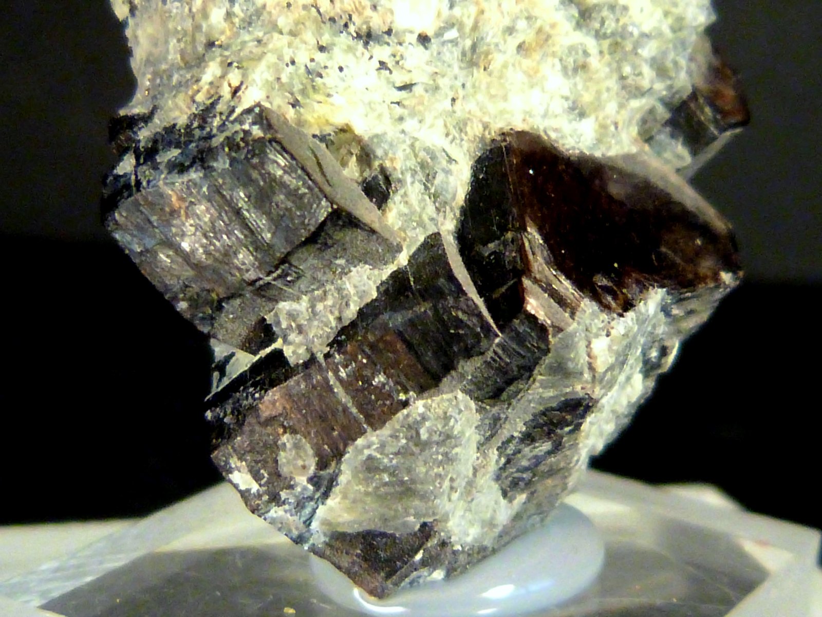 Flogopita (Grupo Mica)
4 x 2,5 x 2 cm.
(Autor: Felipe Abolafia)