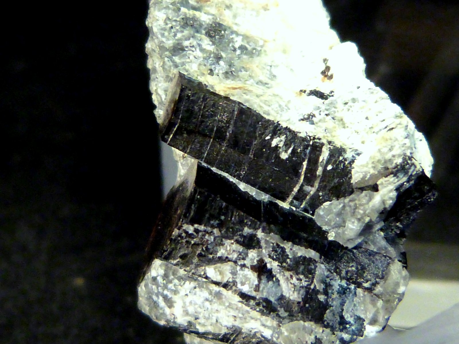 Flogopita (Grupo Mica)
4 x 2,5 x 2 cm.
(Autor: Felipe Abolafia)