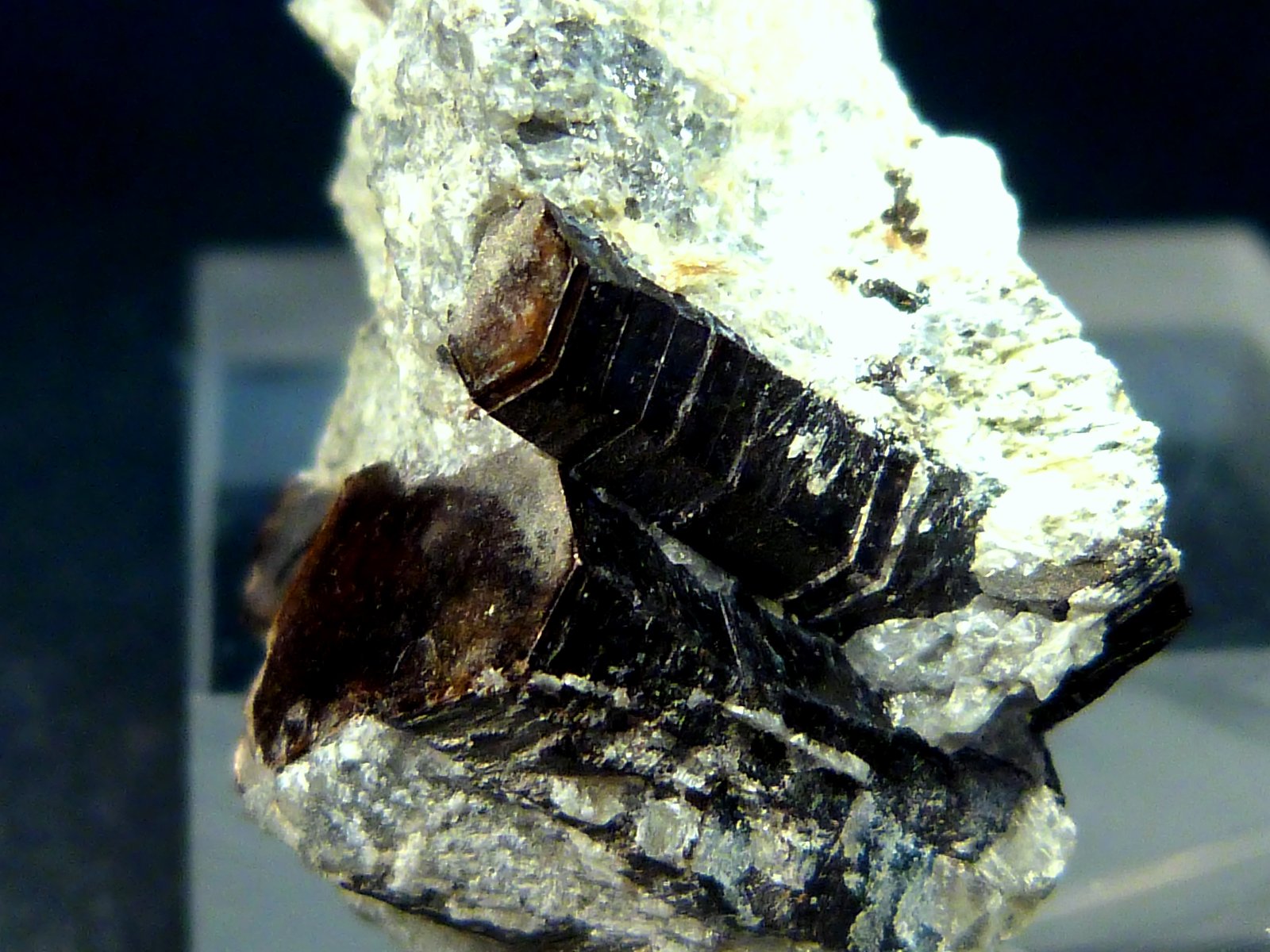 Flogopita (Grupo Mica)
4 x 2,5 x 2 cm.
(Autor: Felipe Abolafia)