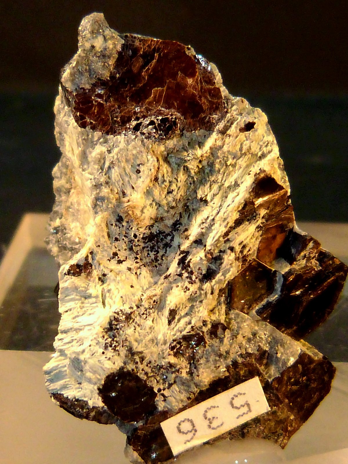 Flogopita (Grupo Mica)
4 x 2,5 x 2 cm.
(Autor: Felipe Abolafia)