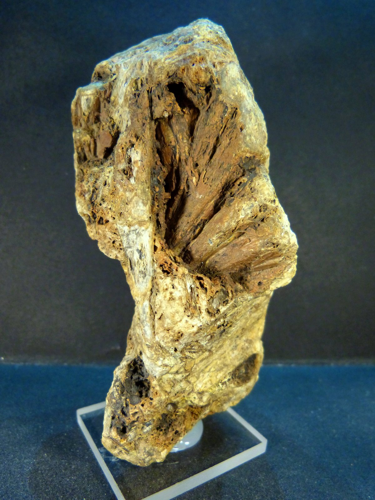 Estibiconita
11,5 x 6 x 5 cm.
(Autor: Felipe Abolafia)