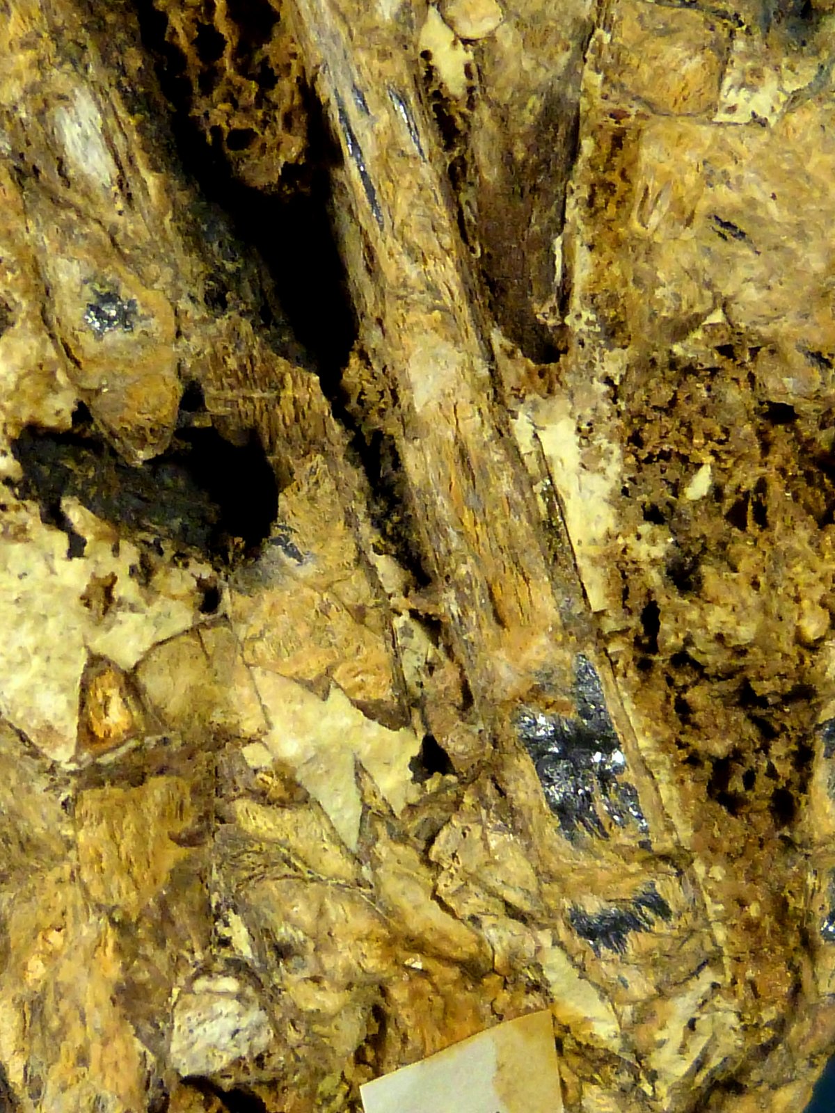 Estibiconita
11,5 x 6 x 5 cm.
(Autor: Felipe Abolafia)