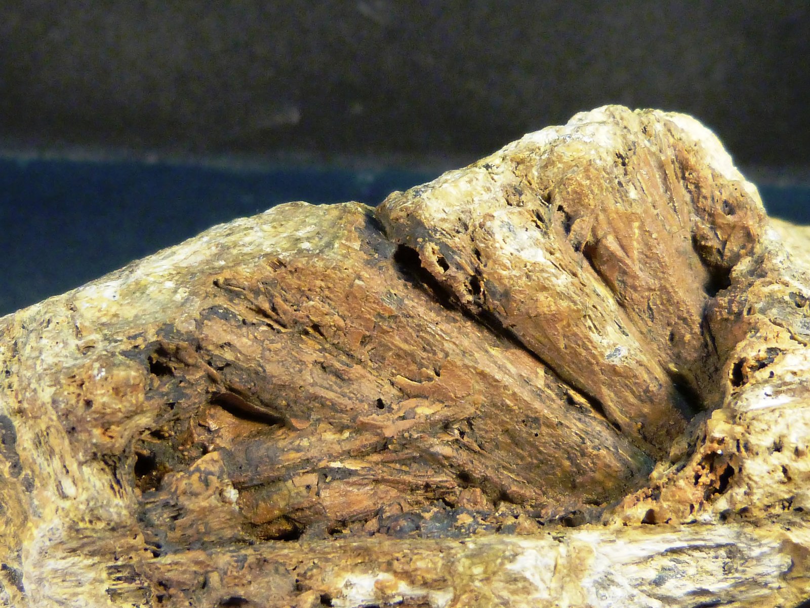 Estibiconita
11,5 x 6 x 5 cm.
(Autor: Felipe Abolafia)