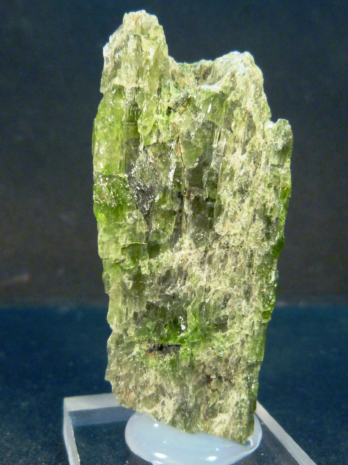 Diópsido (variedad diópsido cromífero)
2,5 x 5 x 2 cm.
(Autor: Felipe Abolafia)