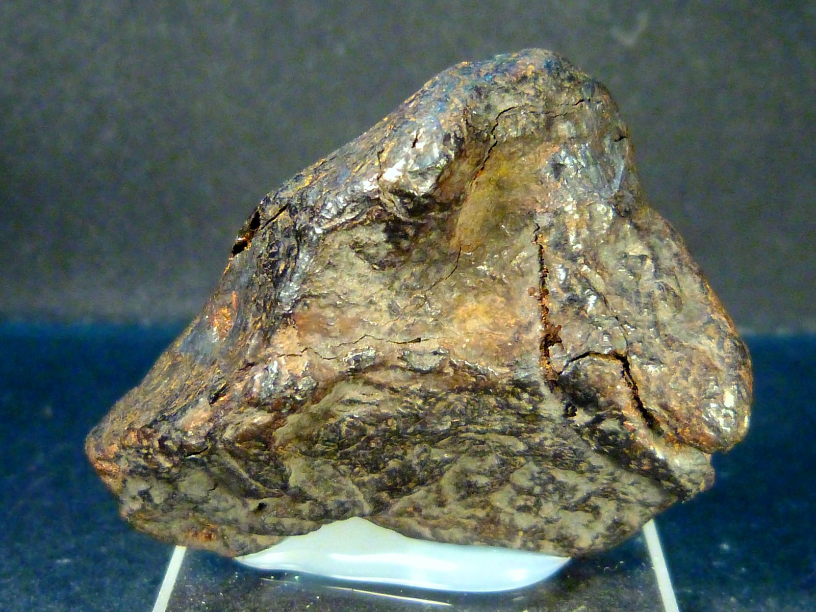 Hierro [Iron] - Níquel [Nickel]
4 x 4 x 1,5 cm.
(Autor: Felipe Abolafia)