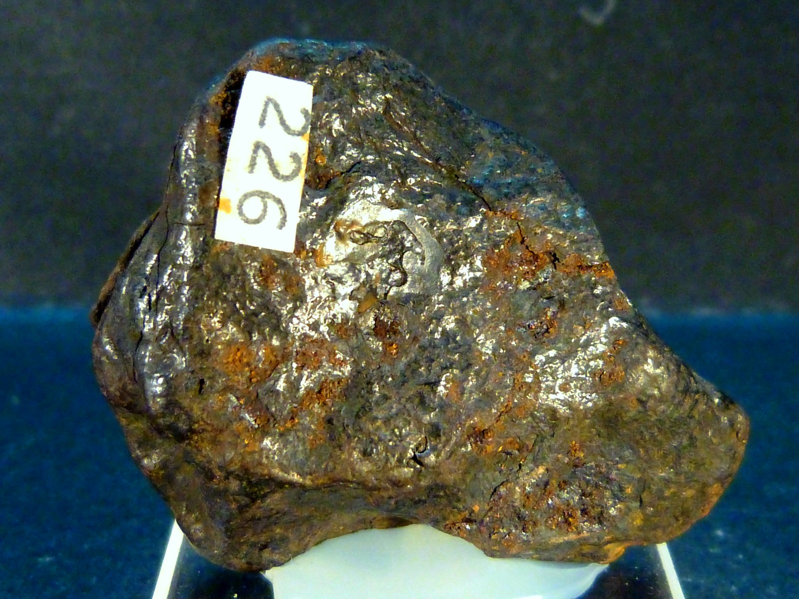 Hierro [Iron] - Níquel [Nickel]
4 x 4 x 1,5 cm.
(Autor: Felipe Abolafia)