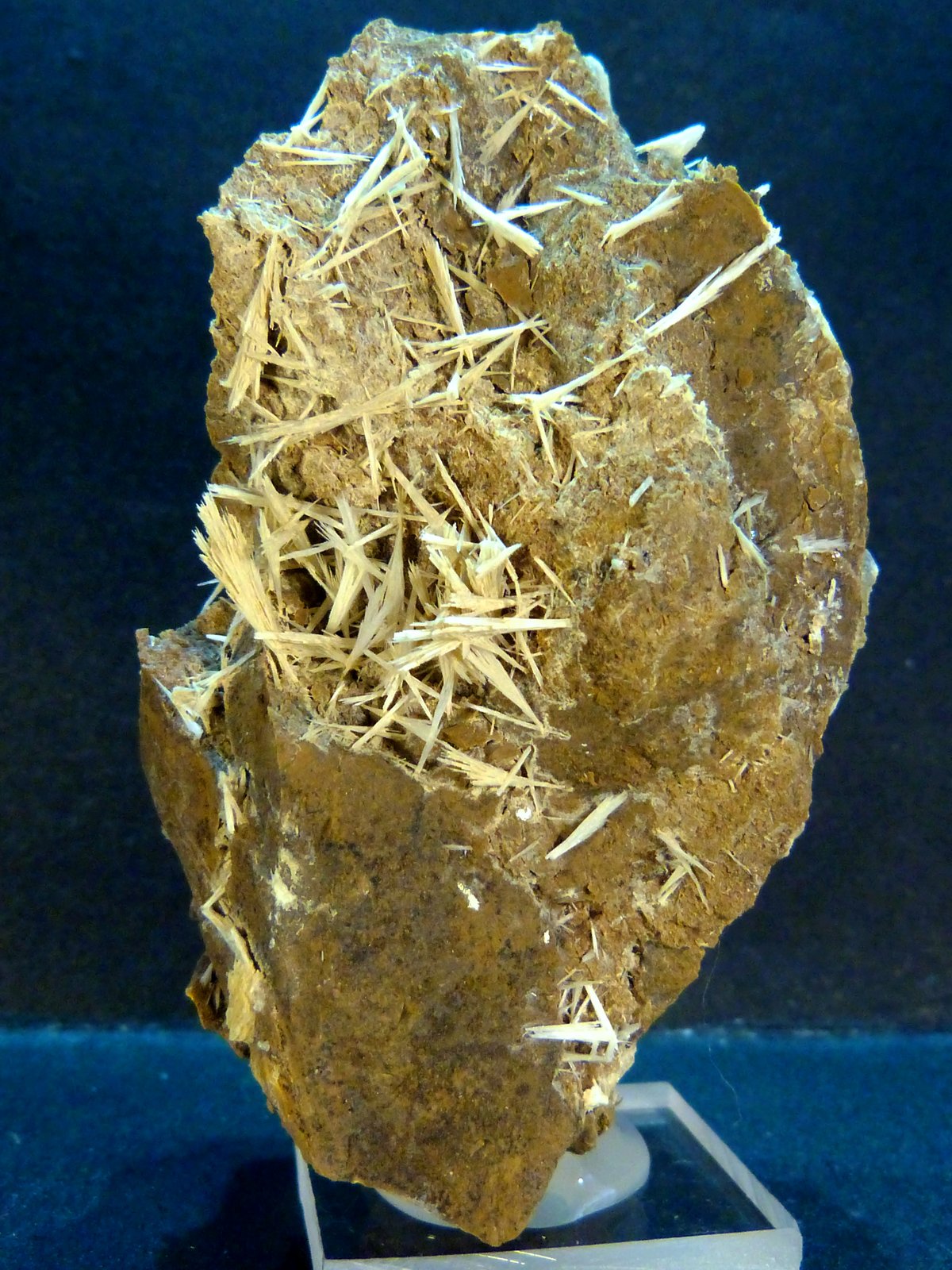 Celestina
4 x 7 x 3 cm.
(Autor: Felipe Abolafia)