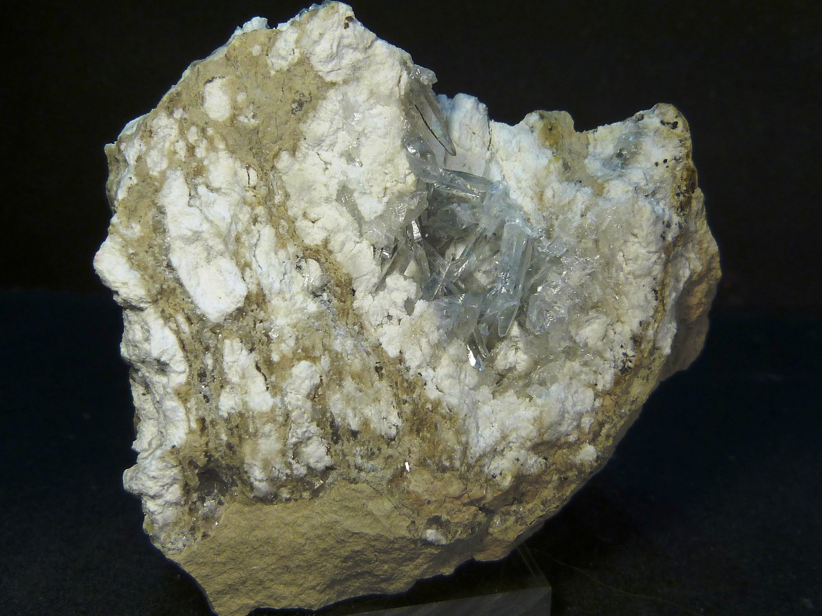 Celestina
6 x 5 x 3 cm.
(Autor: Felipe Abolafia)